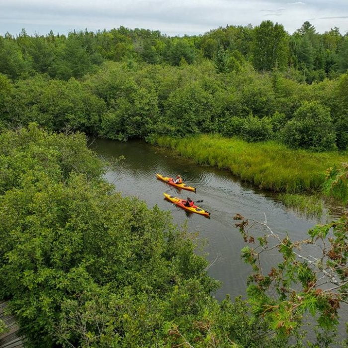 Kayaks au marais Maskinongé